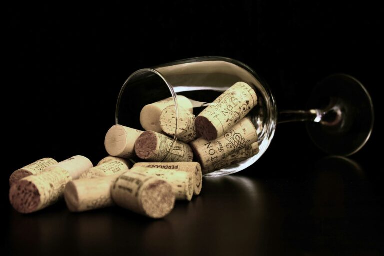 Lire la suite à propos de l’article Les labels éthiques en viticulture
