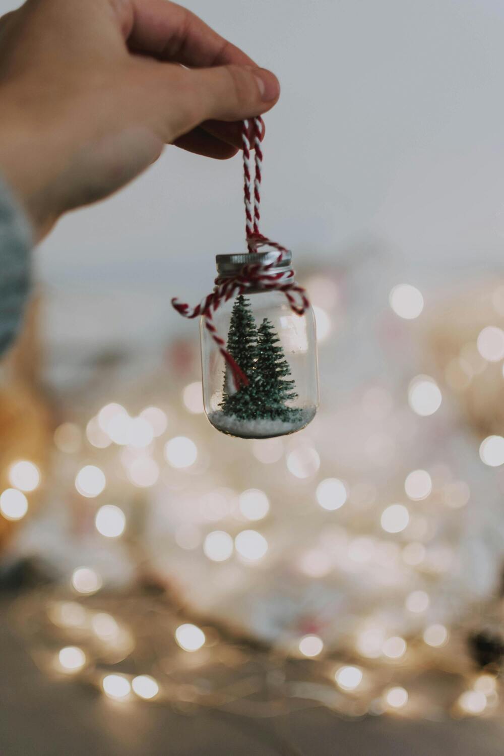 Top 10 des alternatives zéro déchet au sapin naturel