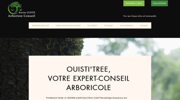 Refonte éditoriale d’un site vitrine pour une présence en ligne plus impactante : Ouisti’Tree, expert arboricole