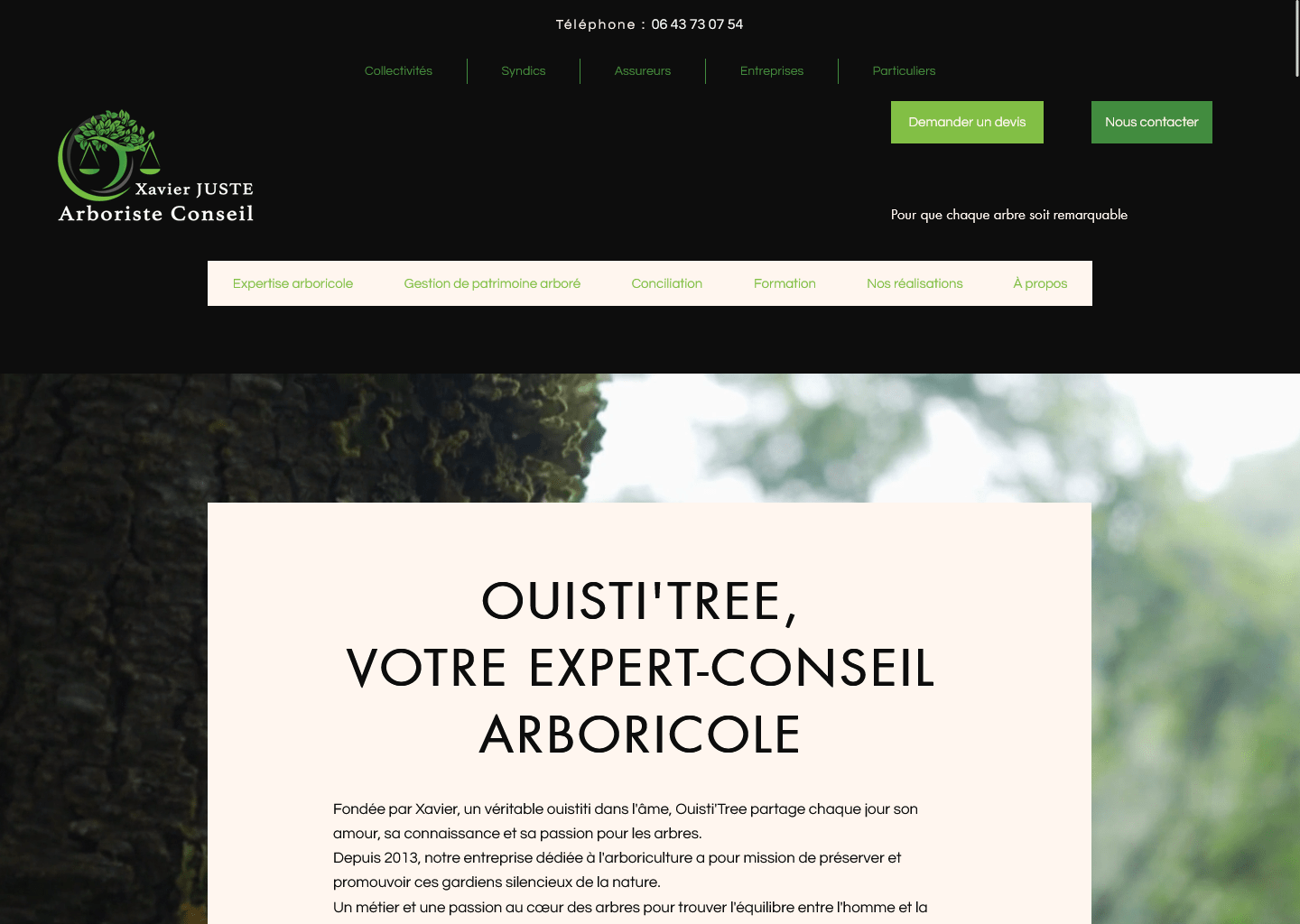 Site web Ouisti’Tree, expert arboricole
